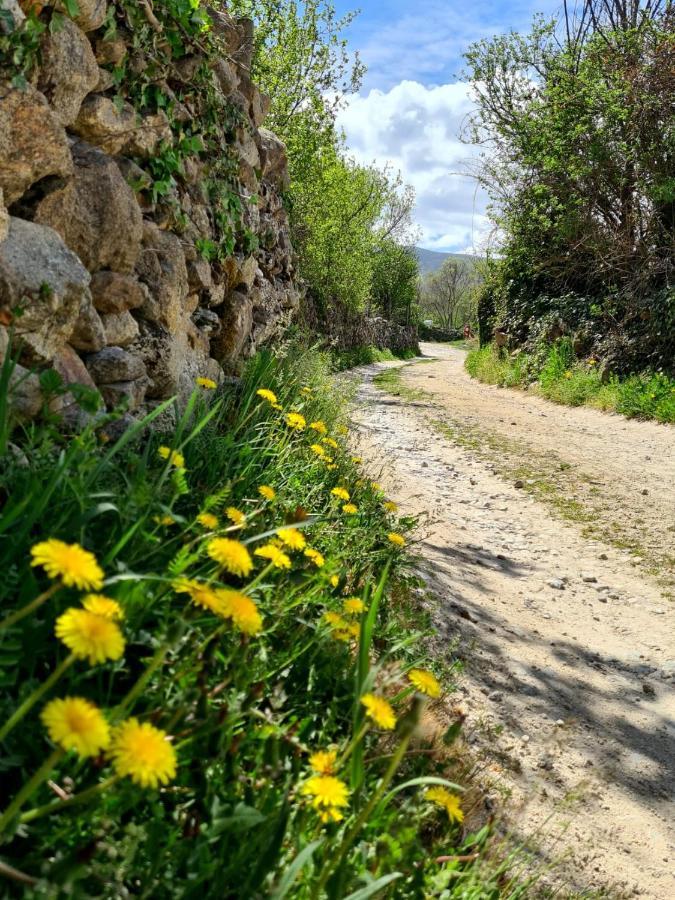 Acogedora Y Romantica Casita En La Sierra Garganta De Los Montes Exterior photo